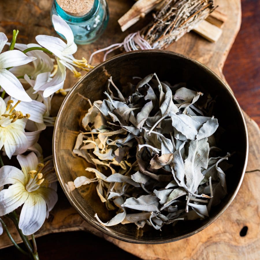 loost white sage leaves dried for insence