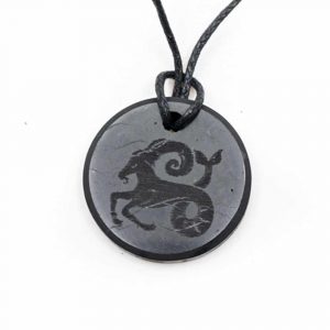 Shungite Horoscope Pendant Capricorn (30 mm)