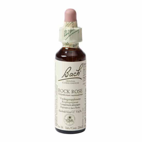 Bach Flower Remedy Rock Rose