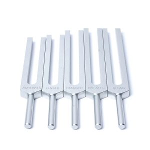 Tuning Forks Set of 15 - Human Organs