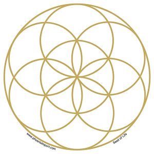 Seed of Life Window Sticker from Taiwan