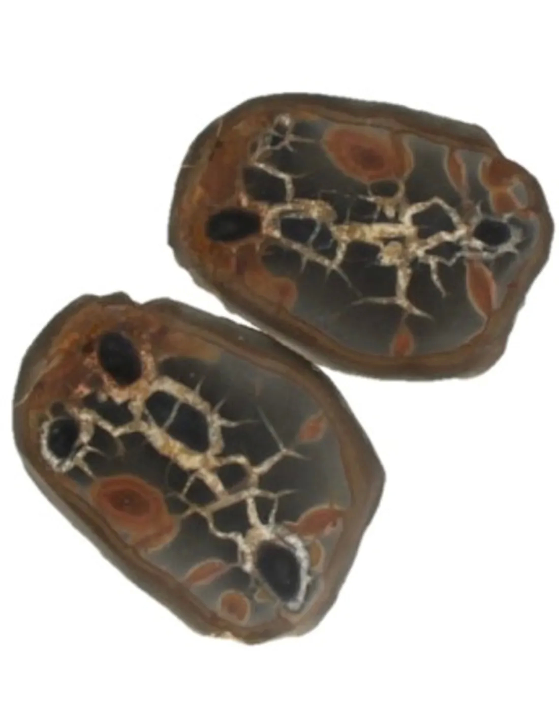 Septarian Pair Dragon Stone from Madagascar