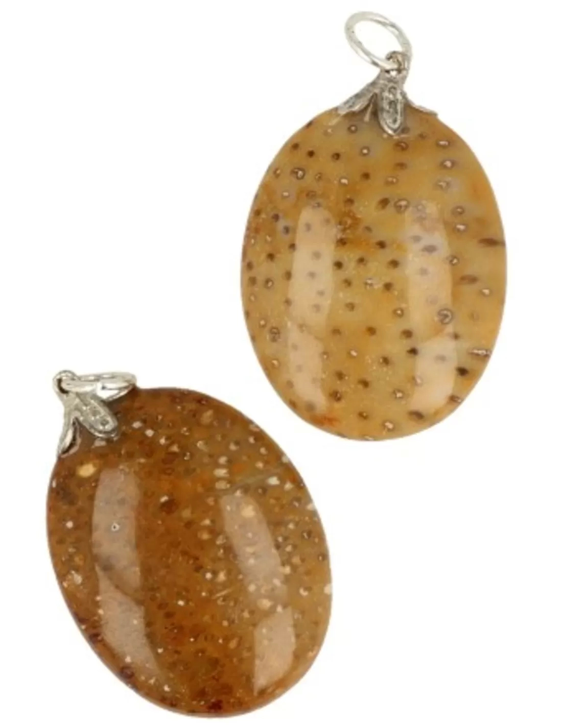 Fossil Palm Gemstone Pendant