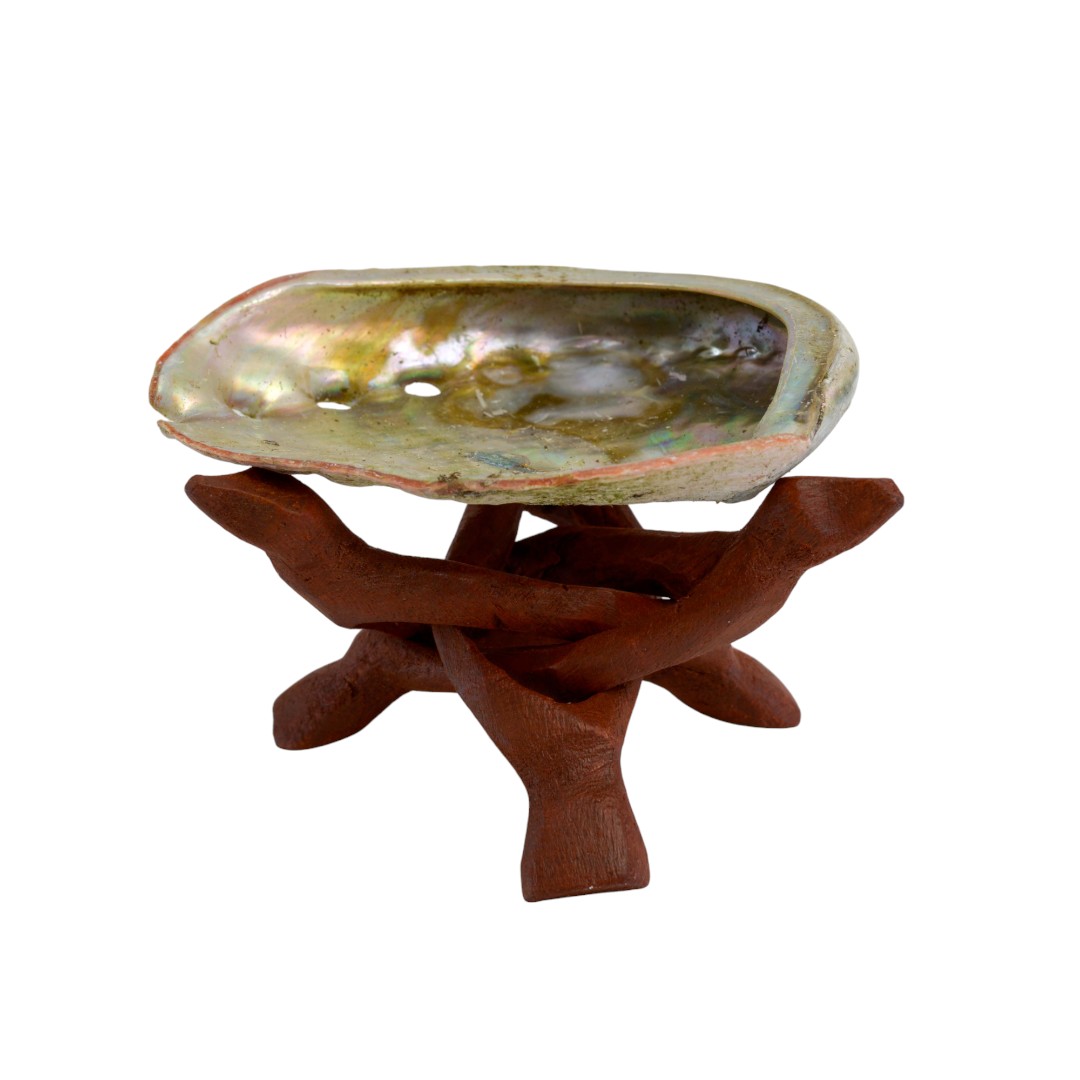 Abalone Shell with Wooden Cobra Stand - Bundle