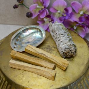 Clean Your House Package with Shasta Smudge (Small) - Bundle